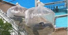 Fish Transport Tanks