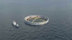 Fish Welfare