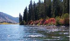 Fishing Float