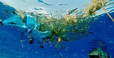 Fishing Net