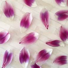 Flower Art Decorator