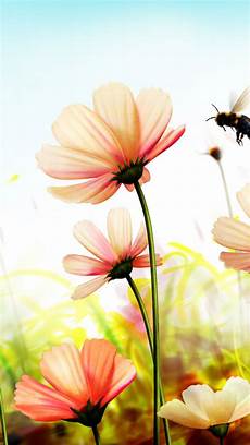Flower Art
