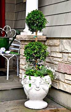 Flower Pots