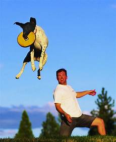 Flying-Disc