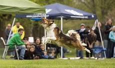 Flying-Disc