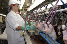 Food Processing Machinery Parts