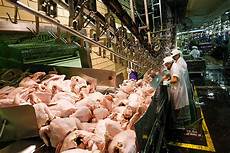 Food processing machinery
