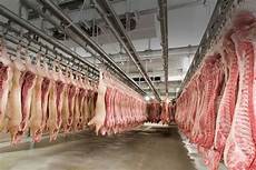 Food processing machinery