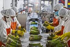 Food Processing