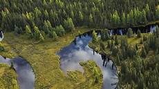 Forestry Products