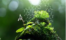 Forestry Products