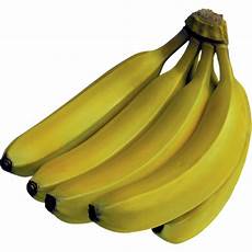 Fresh Bananas