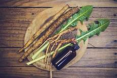Fresh Burdock