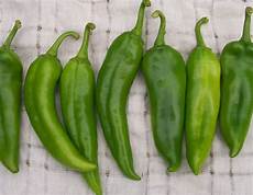 Fresh Capsicum