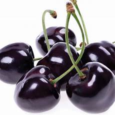 Fresh Cherries