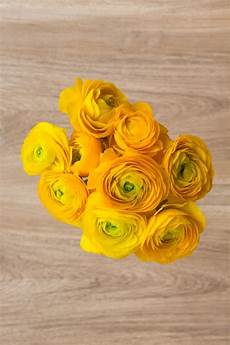 Fresh Cut Chrysanthemums
