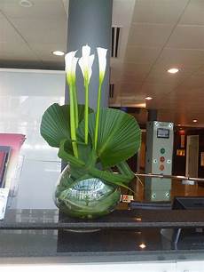 Fresh Cut Flowers
