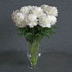Fresh Cut Flowers