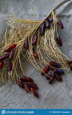 Fresh Dates