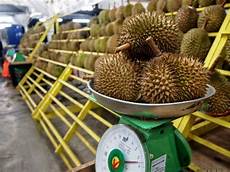 Fresh Durians