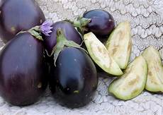 Fresh Eggplant
