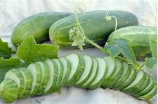 Fresh Eggplant