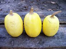 Fresh Eggplant
