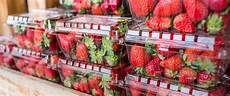 Fresh Fruits Transportation