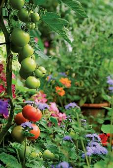 Fresh Fruits