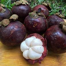Fresh Mangosteen