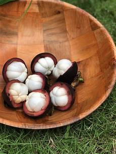 Fresh Mangosteen