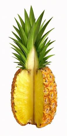Fresh Pineapples