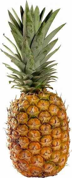 Fresh Pineapples