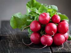Fresh Radish