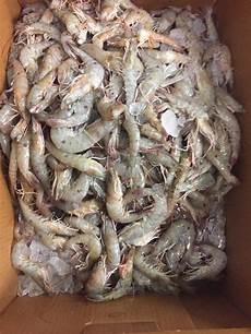Fresh Seafood