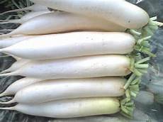 Fresh Vegetables Transportation
