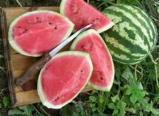 Fresh Water Melons