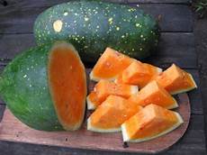 Fresh Water Melons