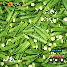 FreshVegetables