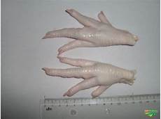Frozen Chicken Paws