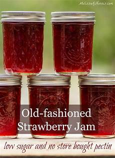 Fruit jam