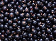 Fruit Juices