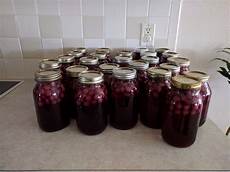 Fruit Marmalade