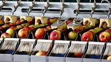 Fruit Processing Machinery