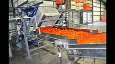 Fruit Processing Machinery