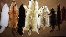 Fur Coats
