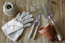 Garden Saw