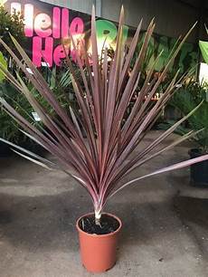 Garden Supplies