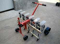 Garlic Cutting Seedling Machinery