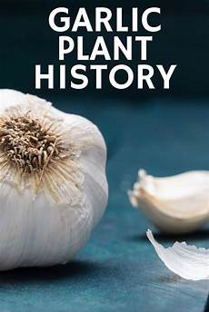 Garlic Experts